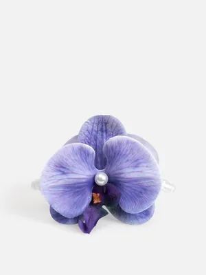 Заколка д/волос дев., 20206320732