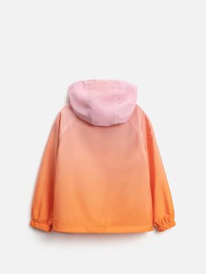 Фотография товара