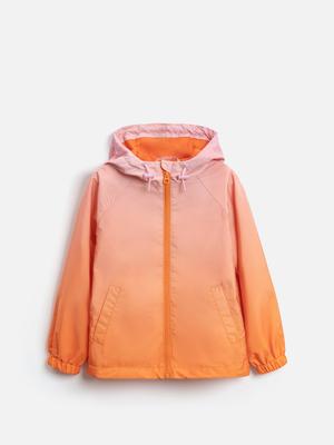 Фотография товара