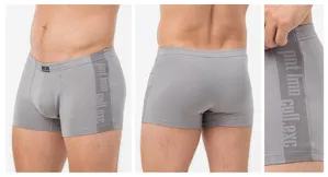 Тр. муж. шорты, PMH-1499